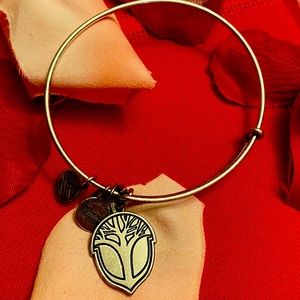Alex and Ani bracelet